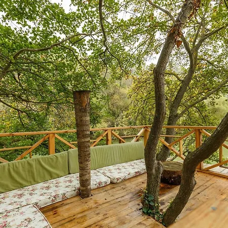 Mesmerizing Tiny House On Riverside In Sile