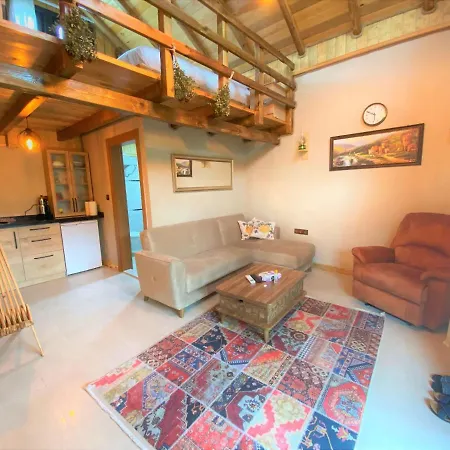 Mesmerizing Tiny House On Riverside In